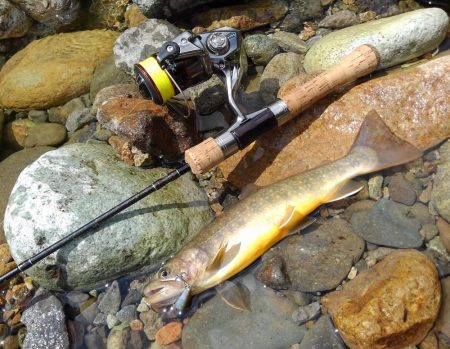 土砂降りの雨に逃げ帰る ～九頭竜川水系～